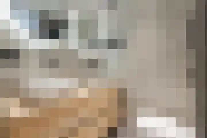 Utbuorren 10 Winsum thumbnail 19