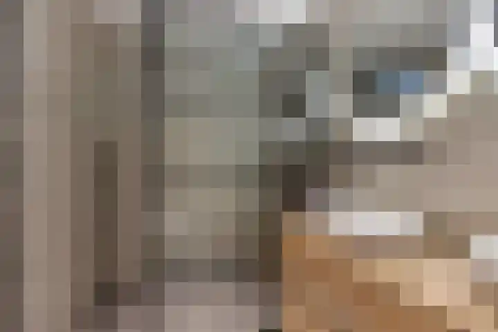 Utbuorren 10 Winsum thumbnail 20
