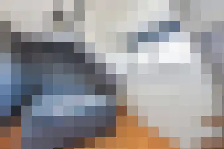 Utbuorren 10 Winsum thumbnail 24