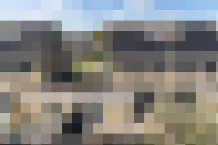 Utbuorren 10 Winsum thumbnail 31
