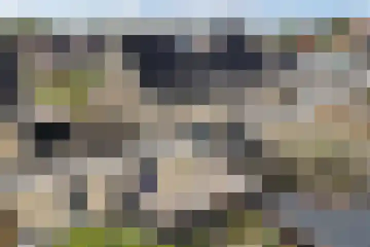 Utbuorren 10 Winsum thumbnail 32