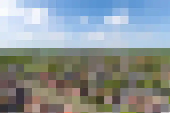 Utbuorren 10 Winsum thumbnail 33