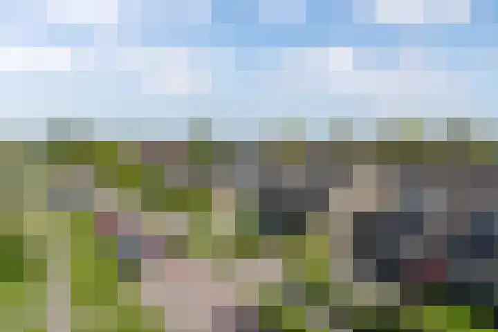 Utbuorren 10 Winsum thumbnail 5