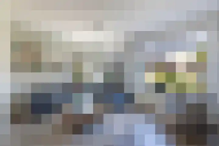Utbuorren 10 Winsum thumbnail 7
