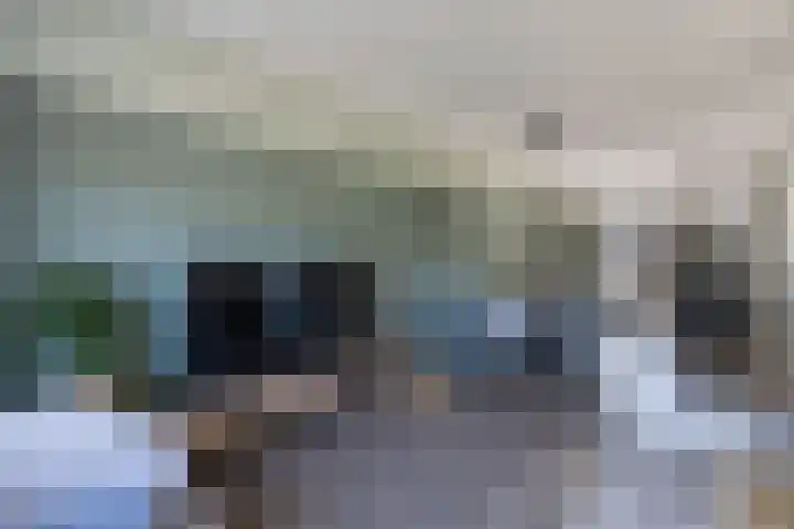 Utbuorren 10 Winsum thumbnail 9
