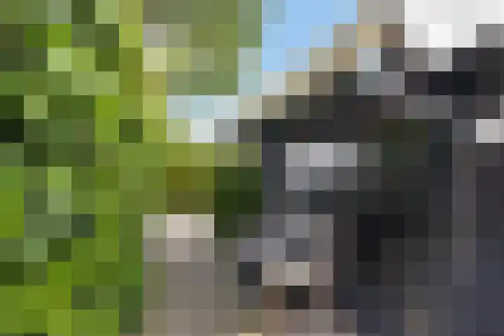 Utbuorren 13 Terherne thumbnail 12
