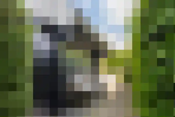 Utbuorren 13 Terherne thumbnail 13
