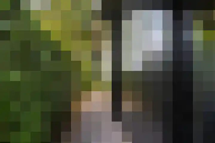 Utbuorren 13 Terherne thumbnail 14