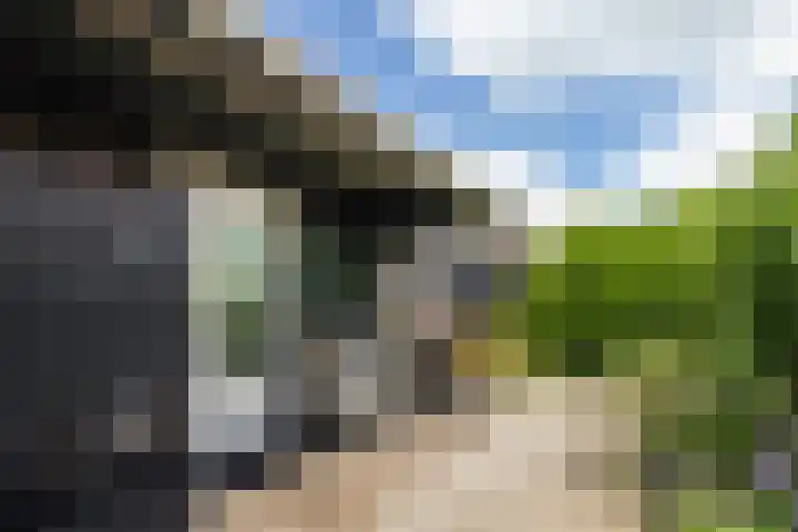 Utbuorren 13 Terherne thumbnail 15