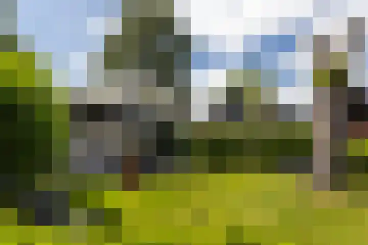 Utbuorren 13 Terherne thumbnail 16