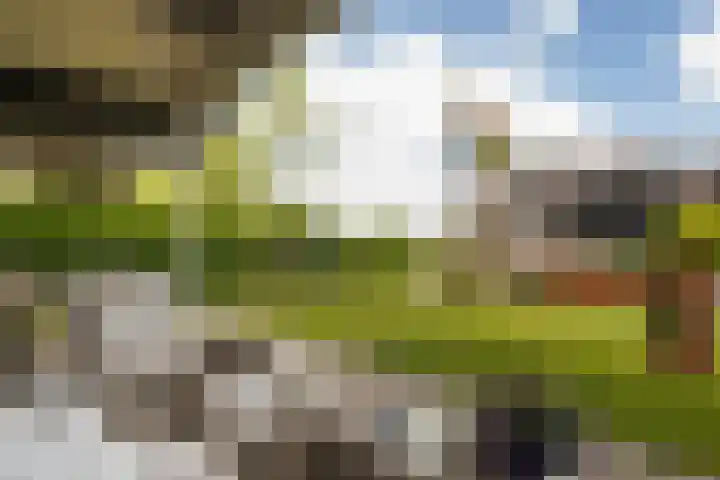 Utbuorren 13 Terherne thumbnail 17