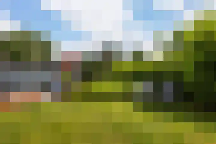 Utbuorren 13 Terherne thumbnail 18