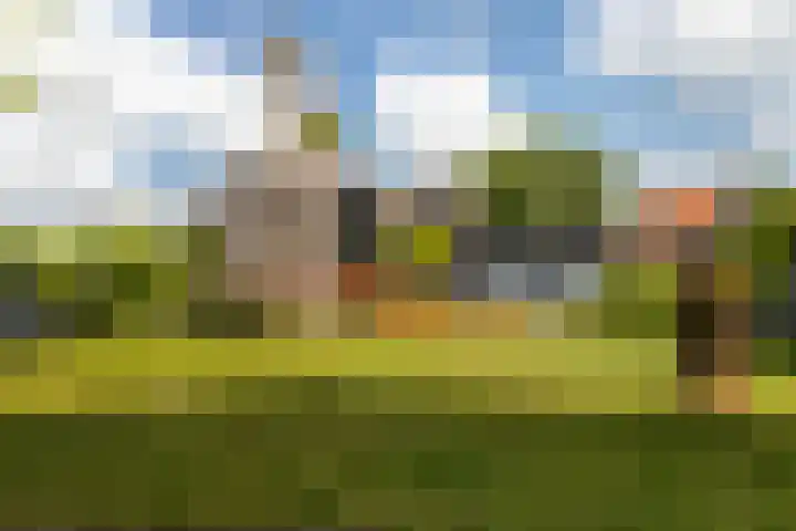 Utbuorren 13 Terherne thumbnail 19