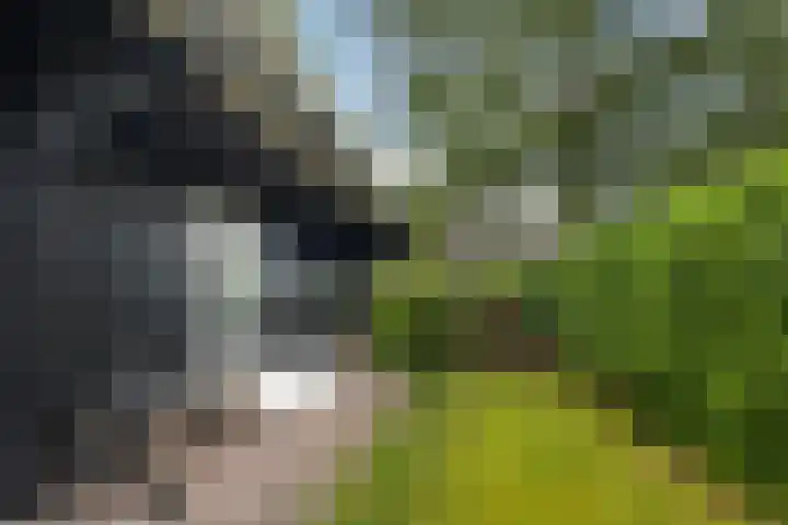 Utbuorren 13 Terherne thumbnail 20
