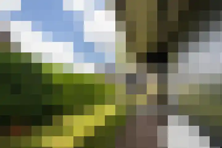 Utbuorren 13 Terherne thumbnail 21