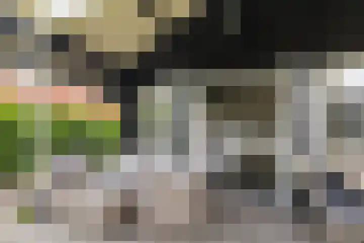 Utbuorren 13 Terherne thumbnail 22