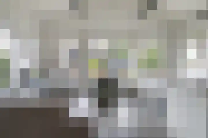 Utbuorren 13 Terherne thumbnail 23