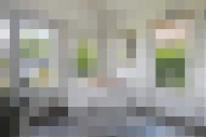 Utbuorren 13 Terherne thumbnail 24