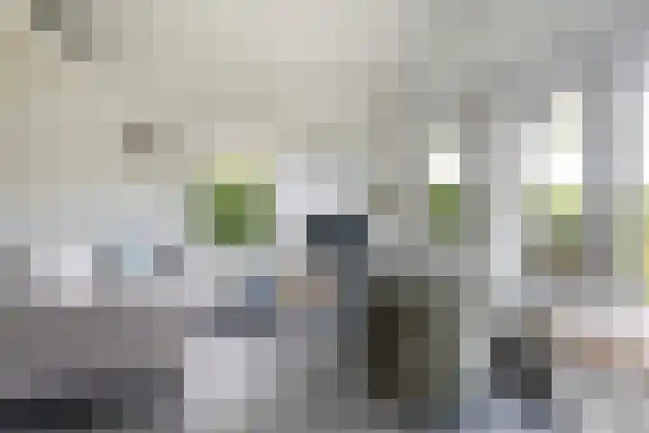 Utbuorren 13 Terherne thumbnail 25