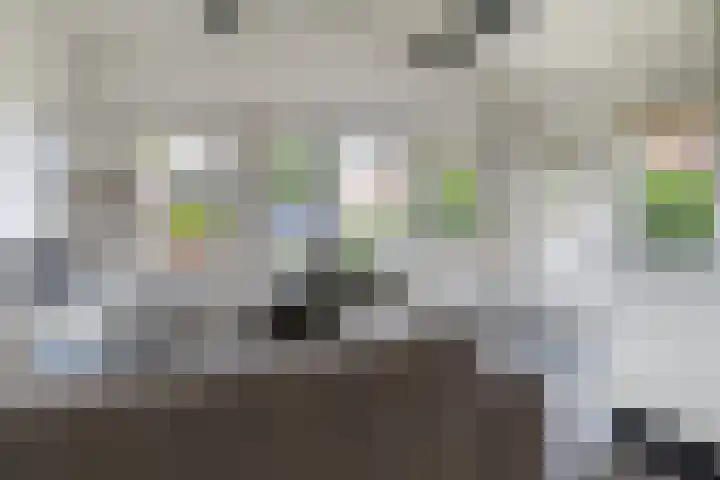 Utbuorren 13 Terherne thumbnail 26