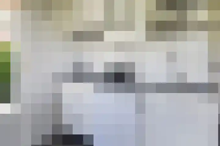 Utbuorren 13 Terherne thumbnail 29