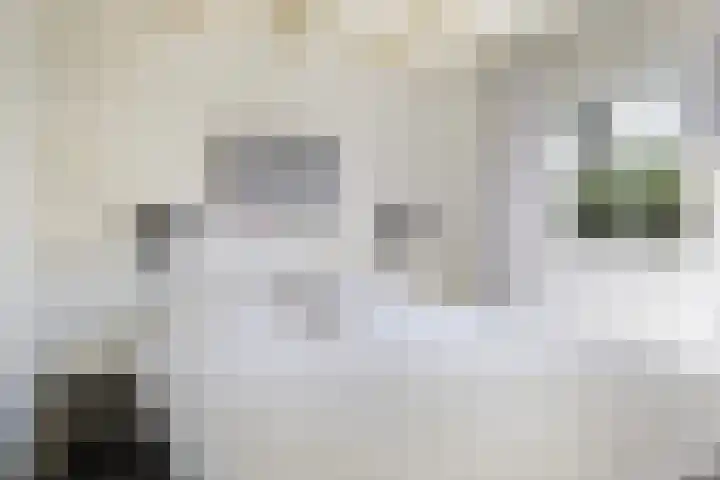 Utbuorren 13 Terherne thumbnail 33