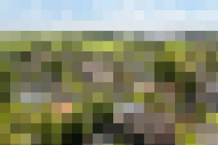 Utbuorren 13 Terherne thumbnail 38