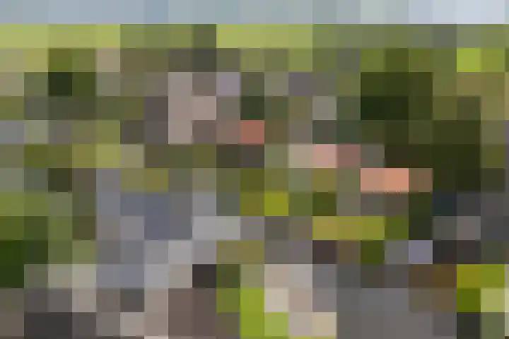 Utbuorren 13 Terherne thumbnail 4