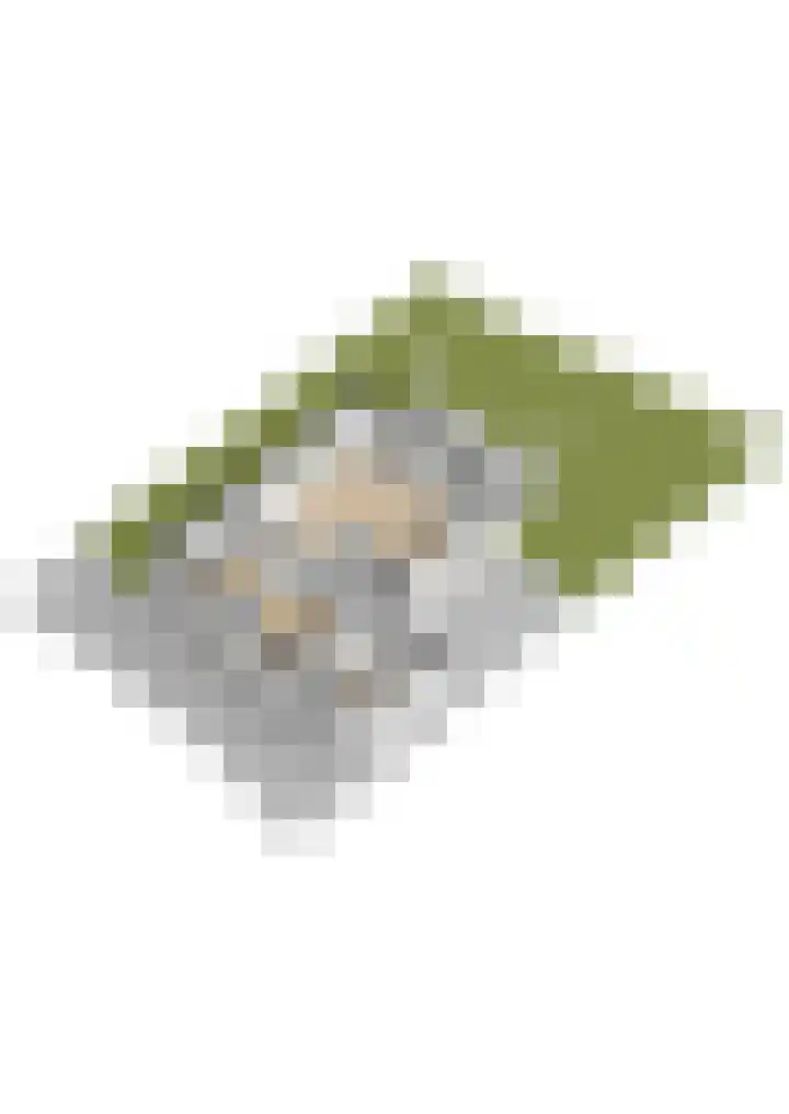 Utbuorren 13 Terherne thumbnail 44