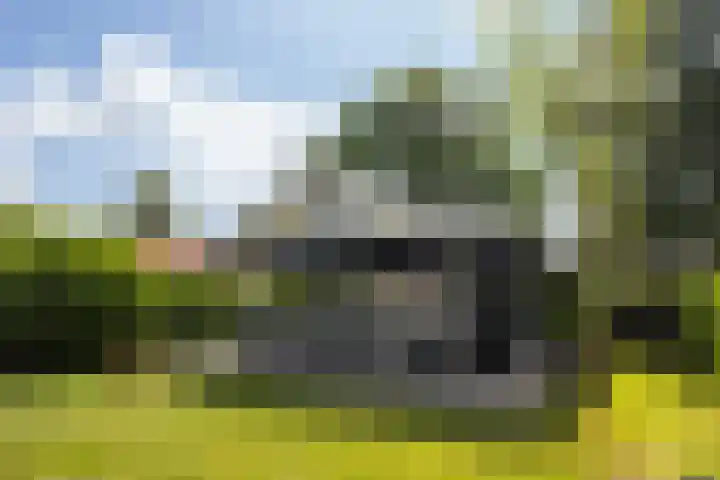 Utbuorren 13 Terherne thumbnail 5