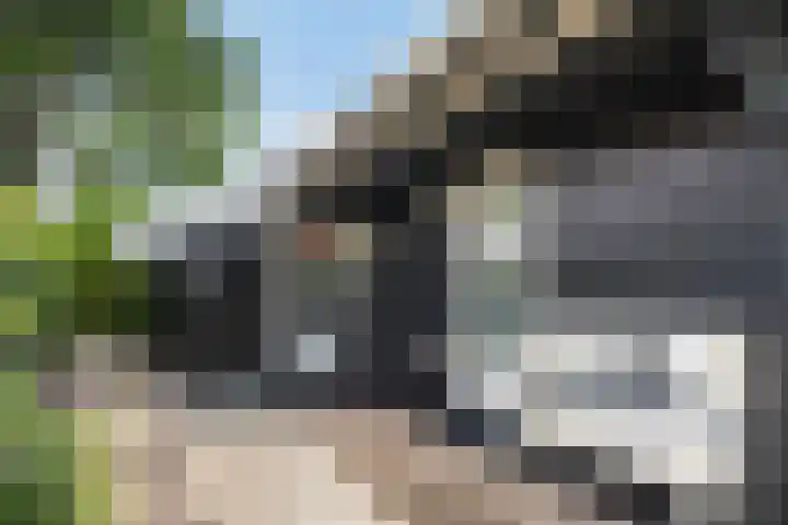 Utbuorren 13 Terherne thumbnail 7
