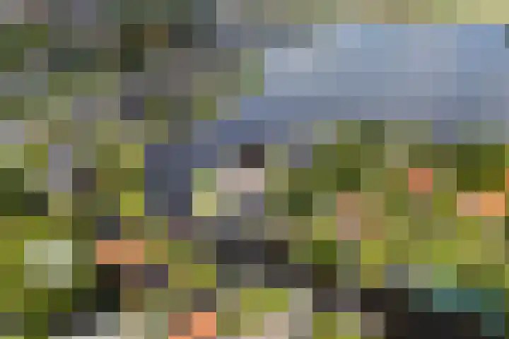 Utbuorren 13 Terherne thumbnail 8
