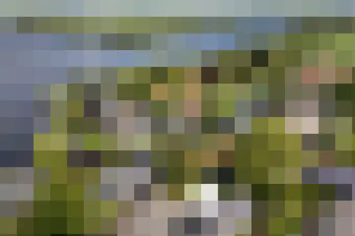 Utbuorren 13 Terherne thumbnail 9