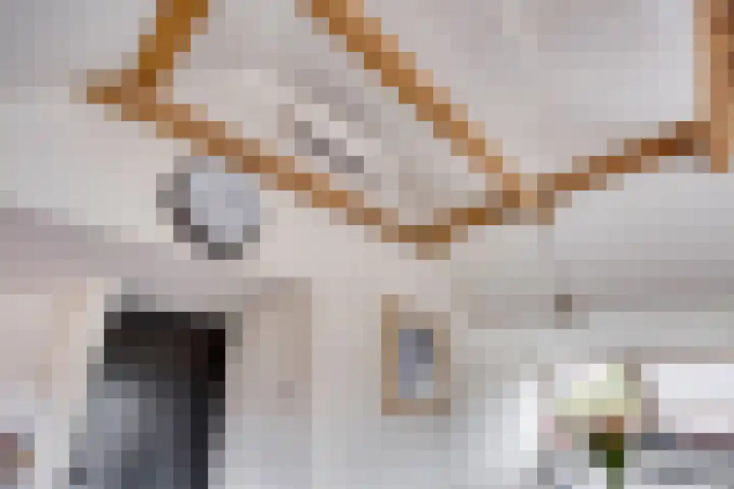 Utbuorren 16 Terherne thumbnail 15