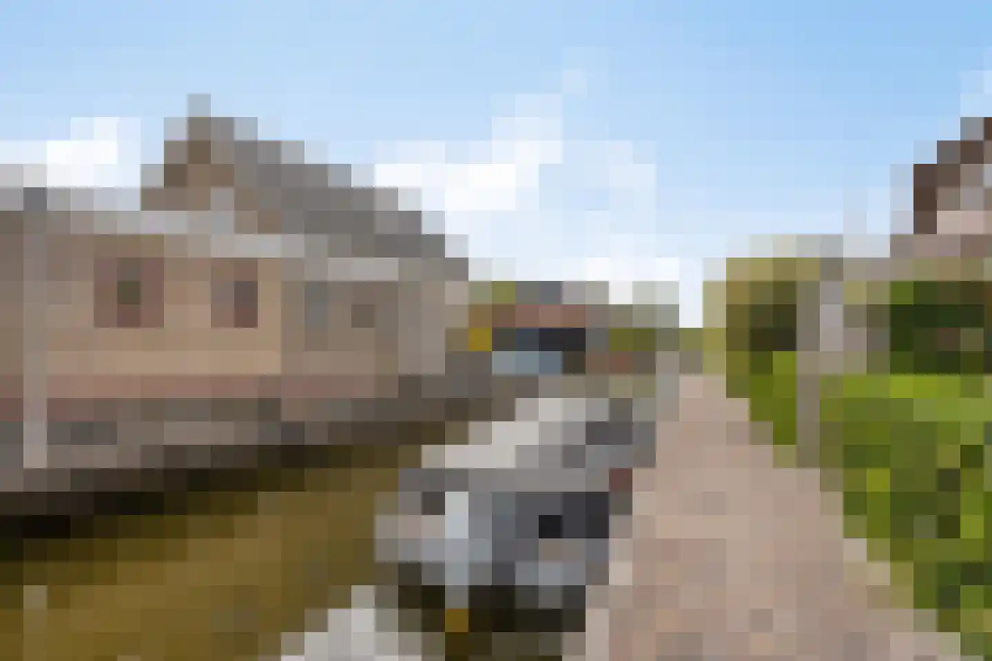 Utbuorren 16 Terherne thumbnail 37