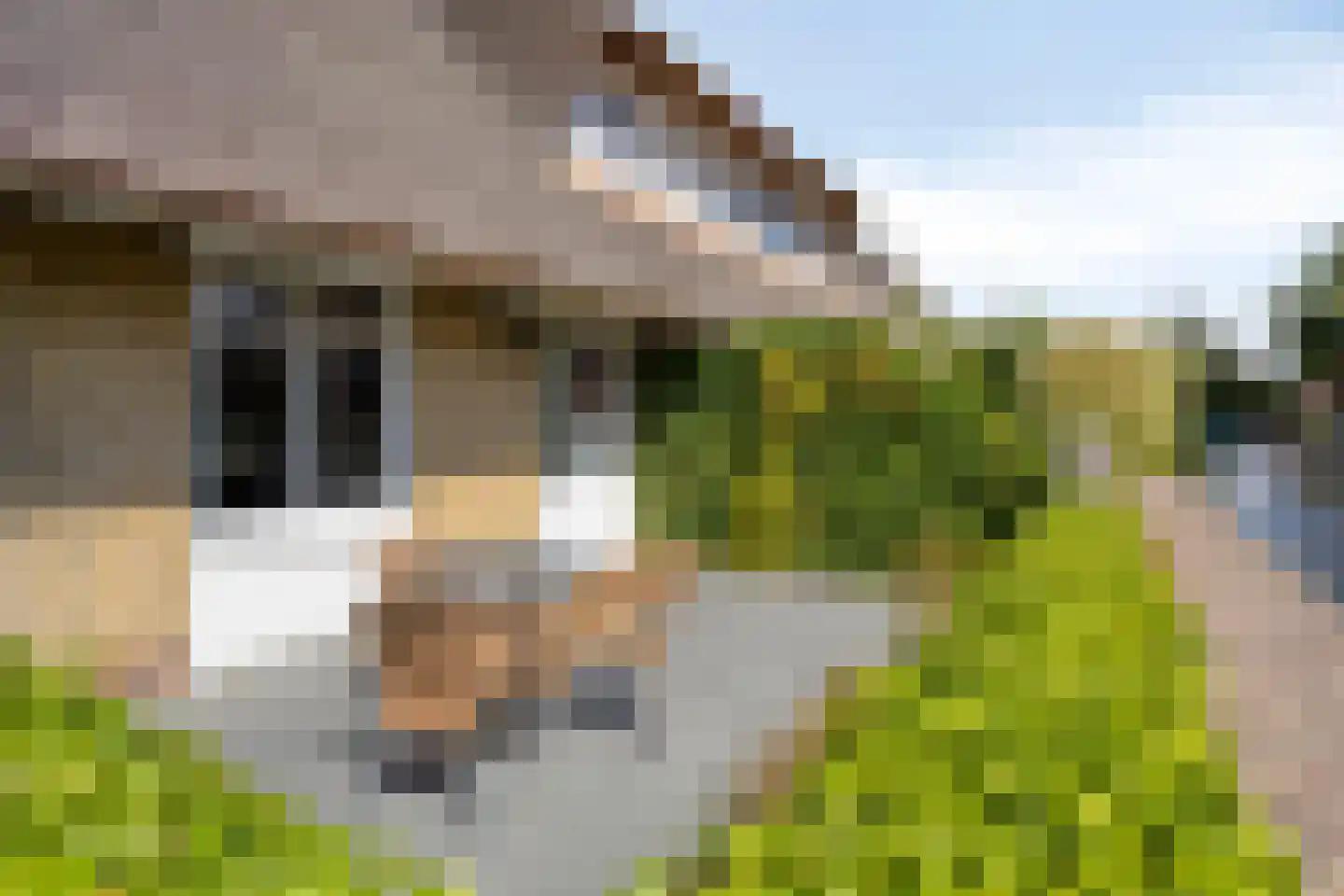 Utbuorren 16 Terherne thumbnail 46