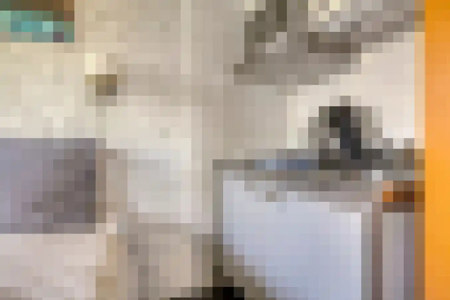Utbuorren 16 Terherne thumbnail 60