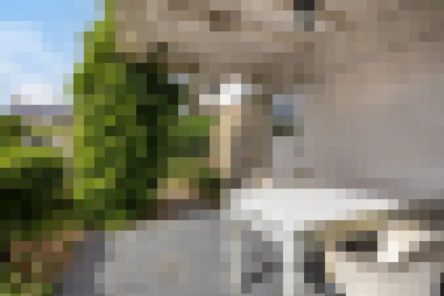 Utbuorren 16 Terherne thumbnail 63