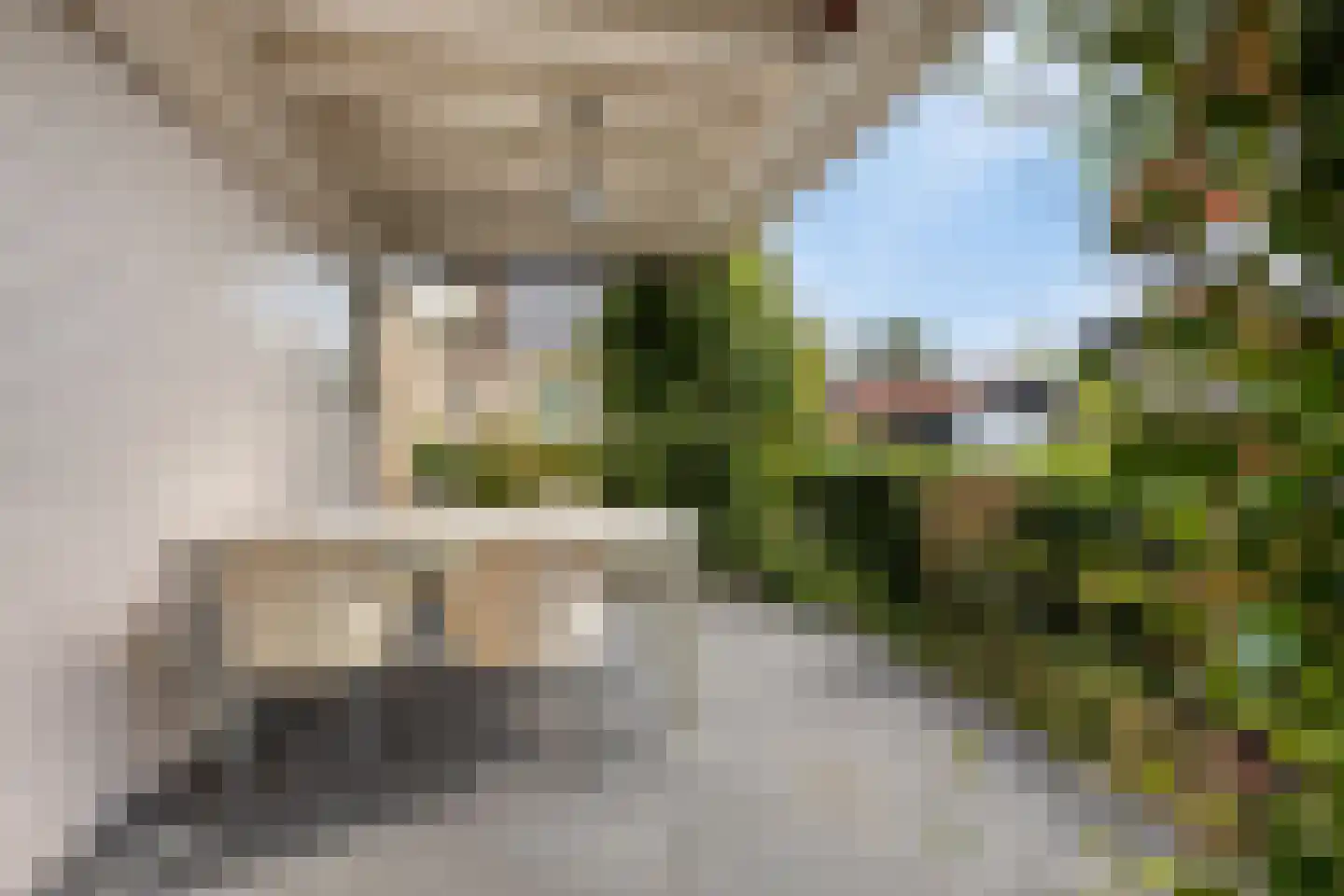 Utbuorren 16 Terherne thumbnail 64
