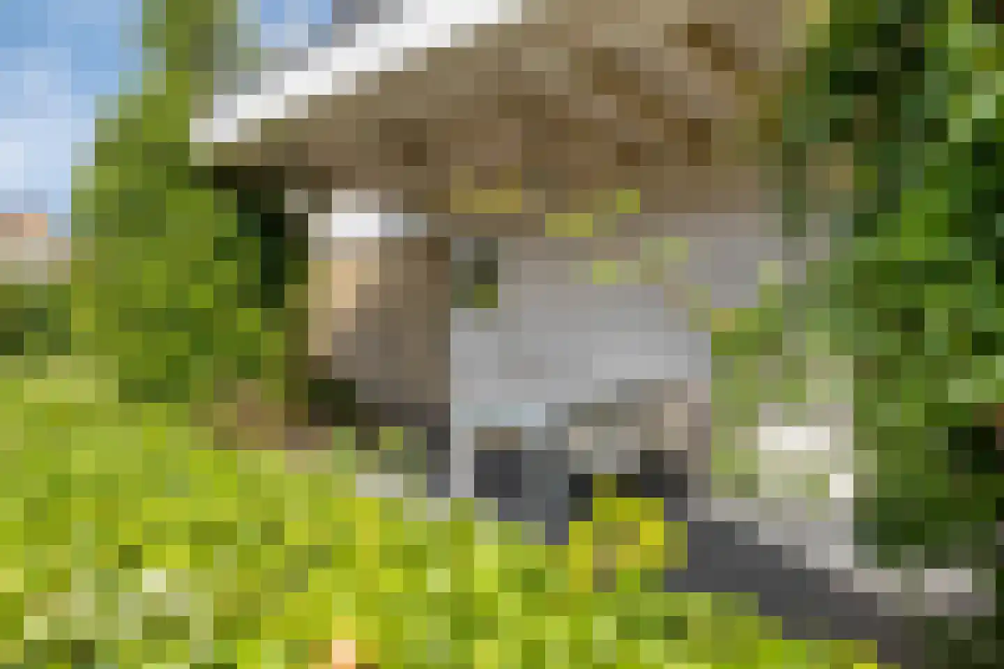 Utbuorren 16 Terherne thumbnail 65