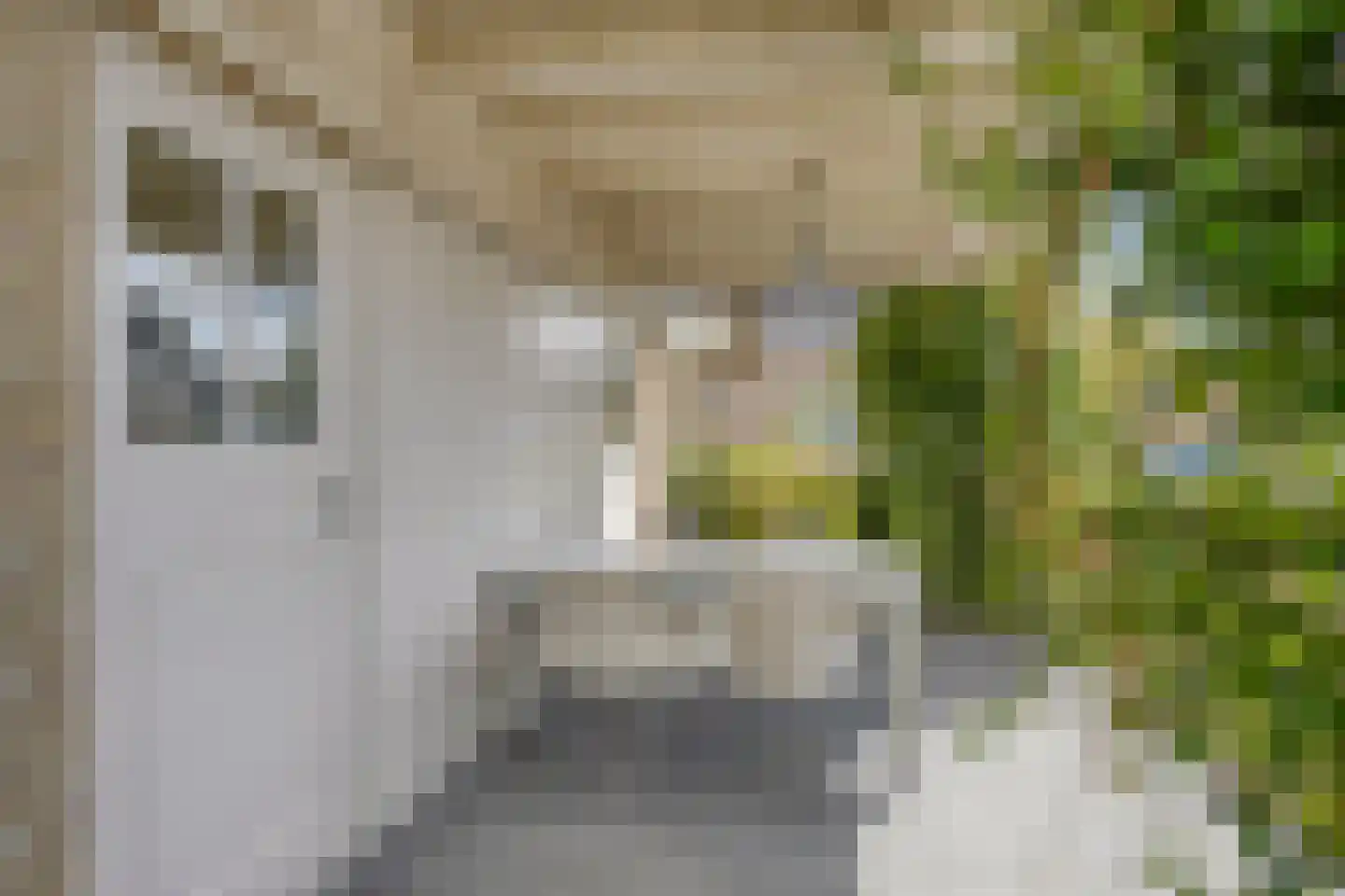 Utbuorren 16 Terherne thumbnail 66