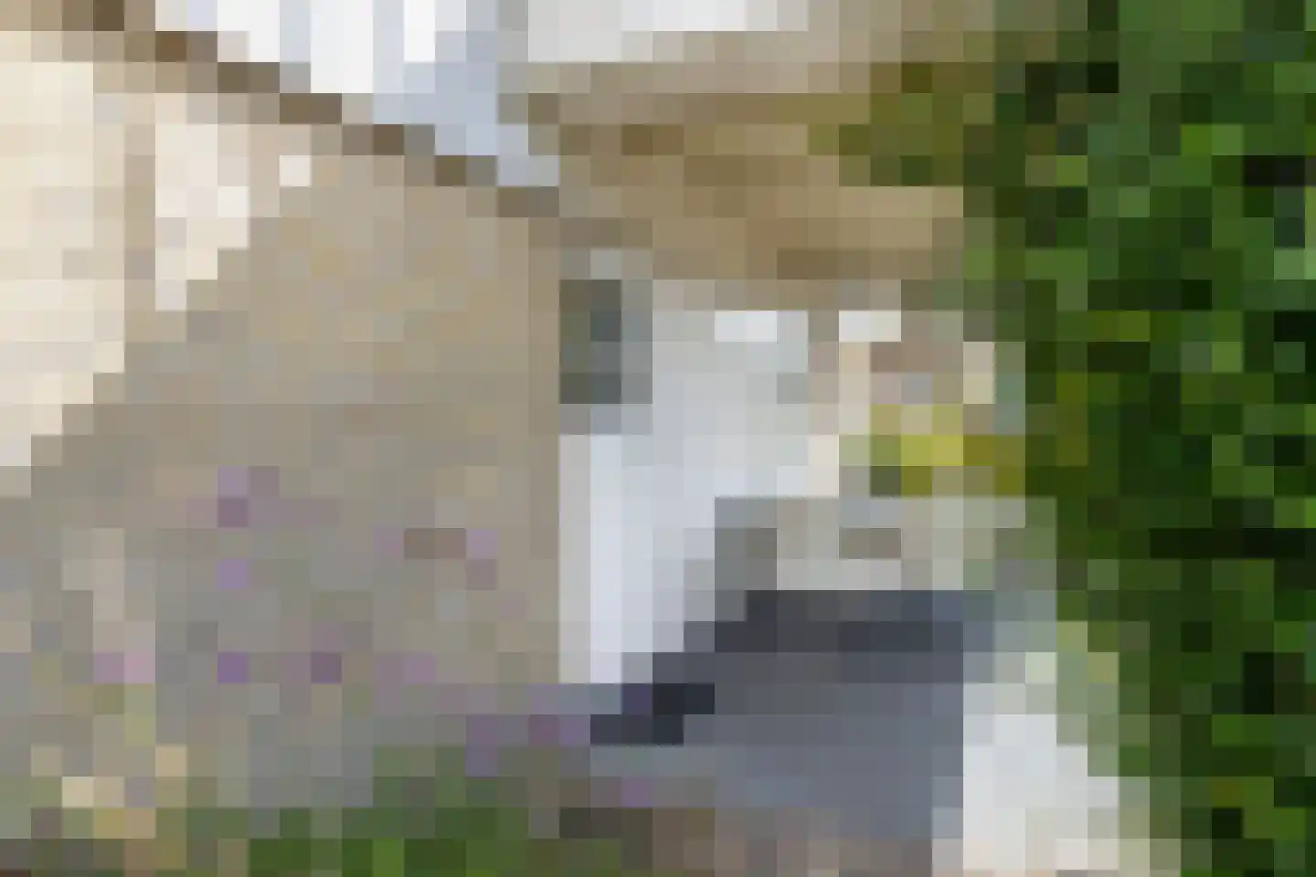 Utbuorren 16 Terherne thumbnail 67