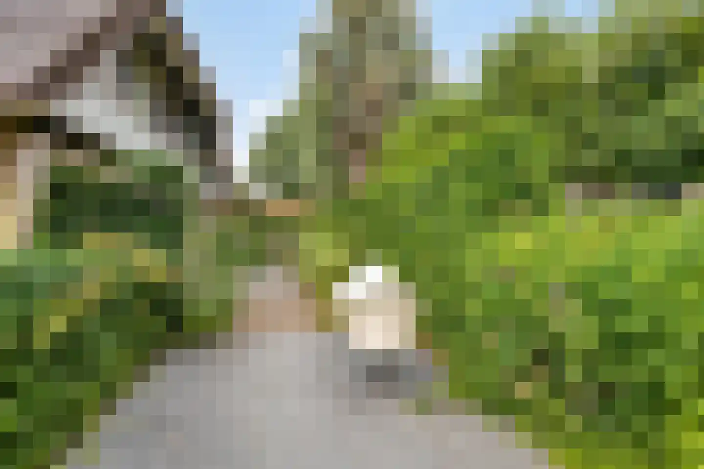 Utbuorren 16 Terherne thumbnail 68