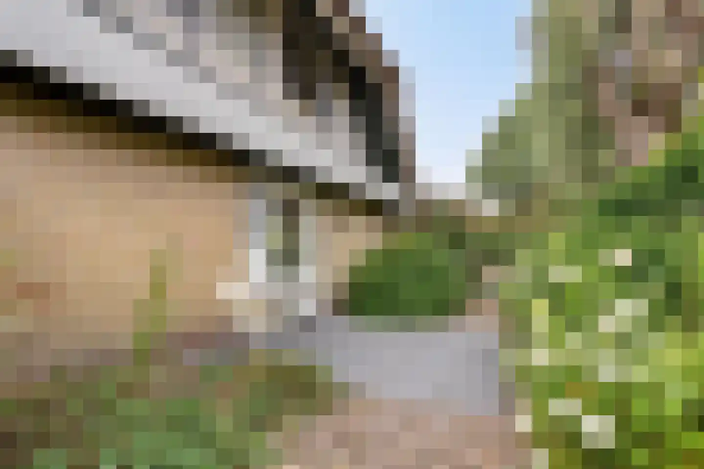 Utbuorren 16 Terherne thumbnail 69