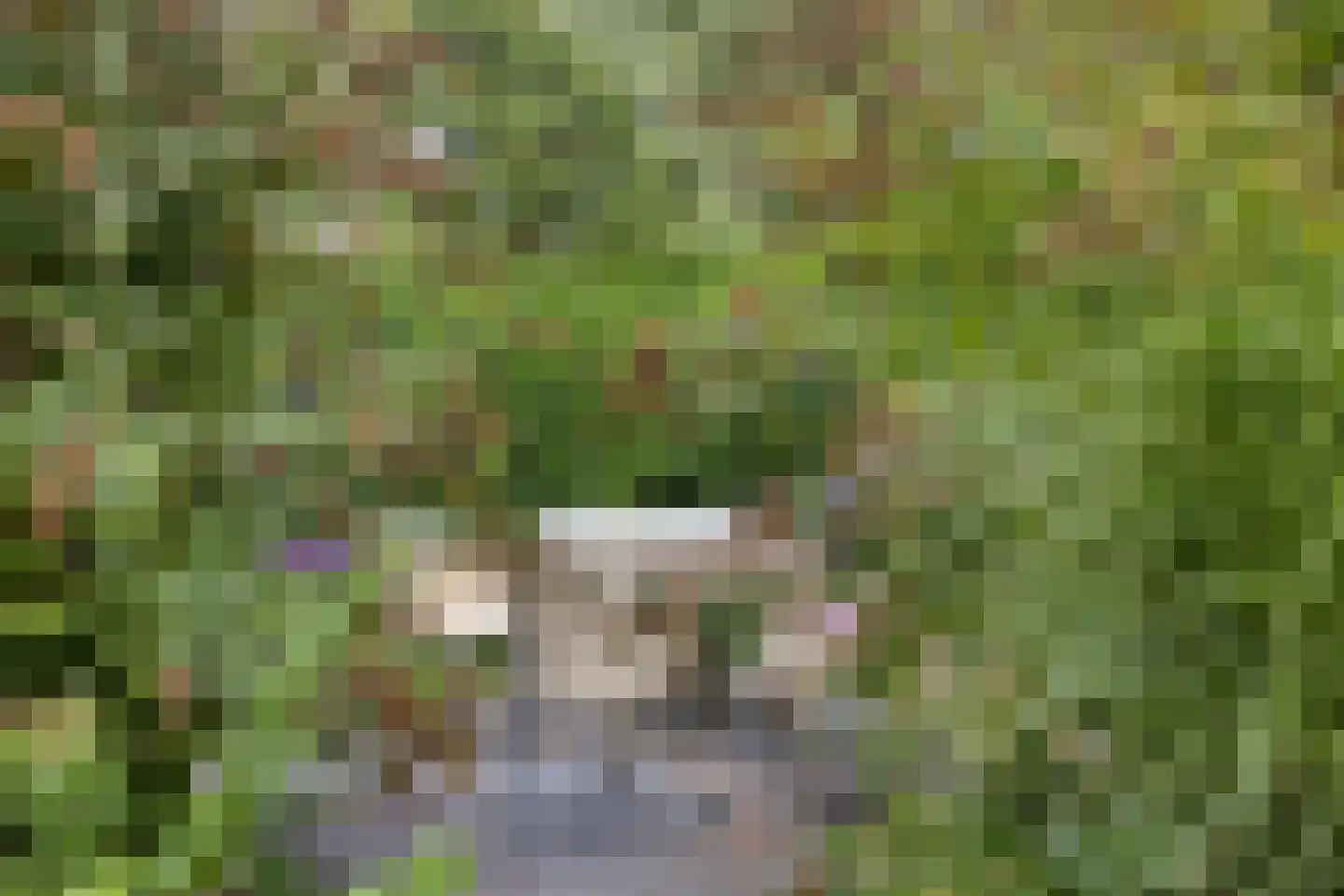 Utbuorren 16 Terherne thumbnail 71