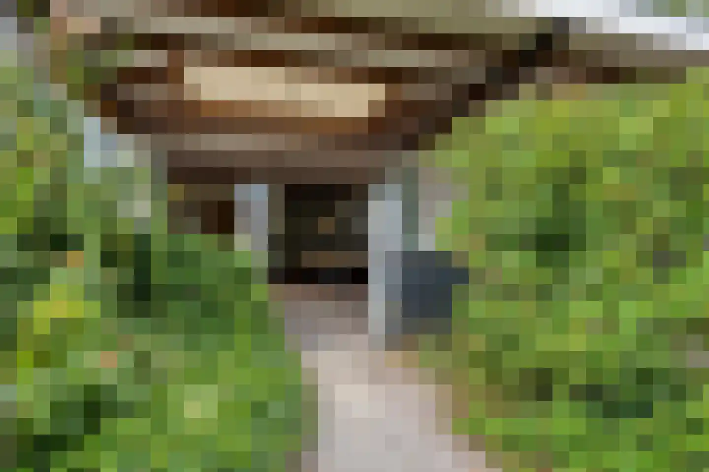 Utbuorren 16 Terherne thumbnail 73