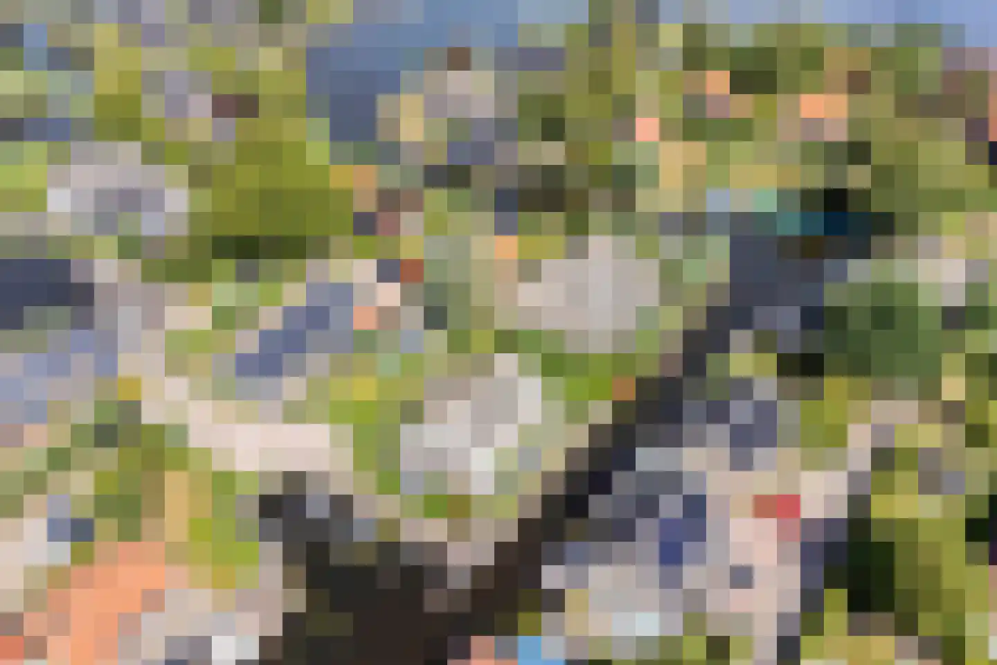 Utbuorren 16 Terherne thumbnail 8