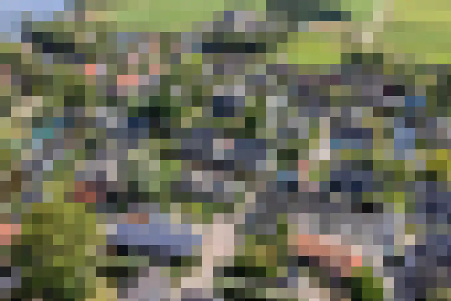 Utbuorren 16 Terherne thumbnail 90