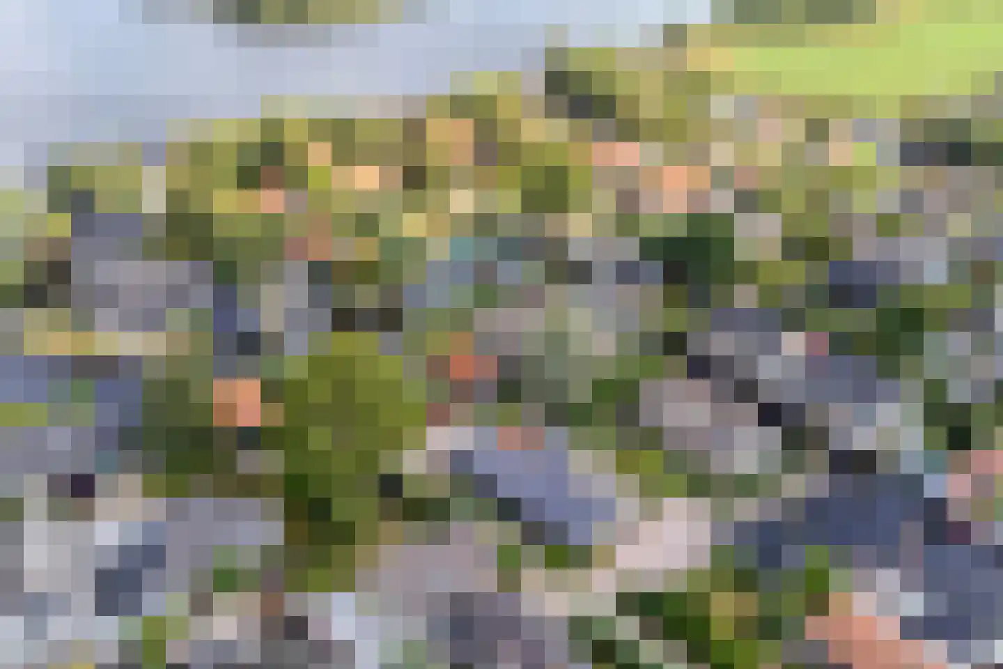 Utbuorren 16 Terherne thumbnail 91