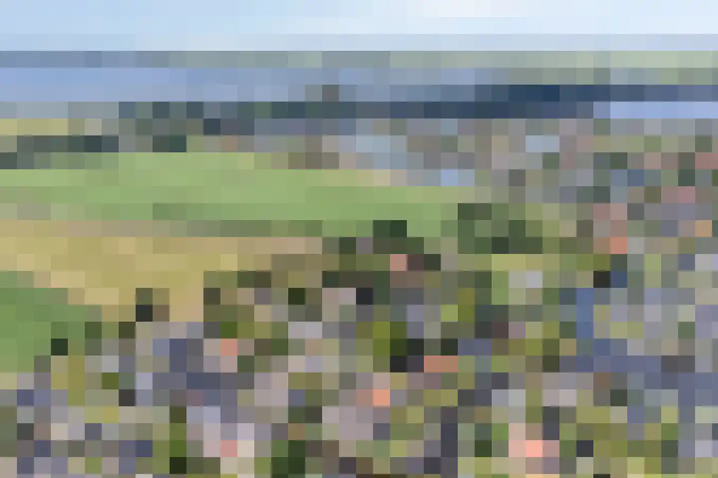 Utbuorren 16 Terherne thumbnail 95